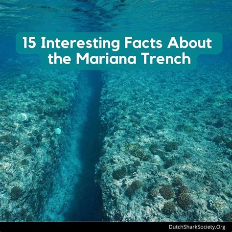 interesting facts about the mariana trench